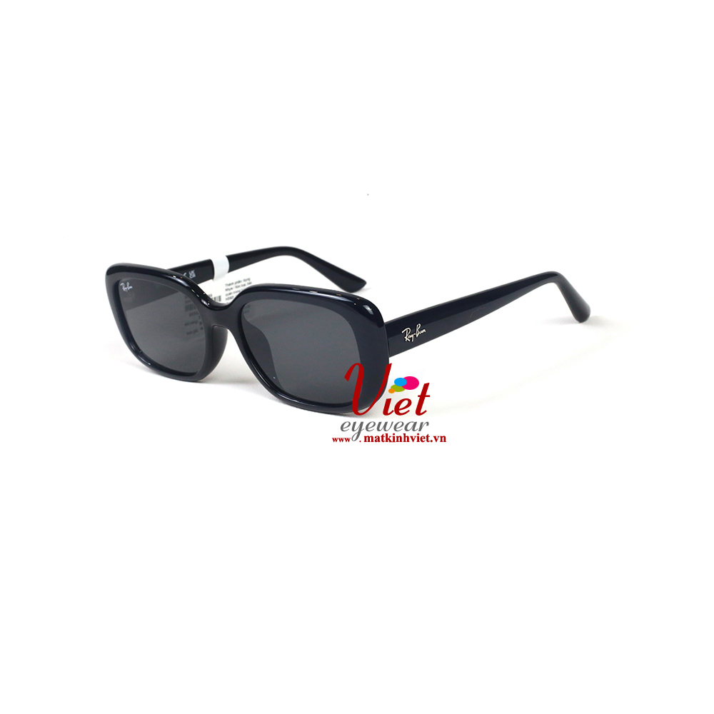 Kính mát RayBan RB4421D 6677/87